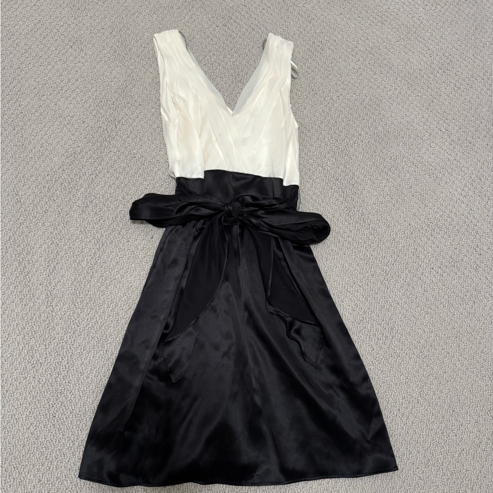 Nu Collective Black and White Sleeveless V-Neck A-Line Dress